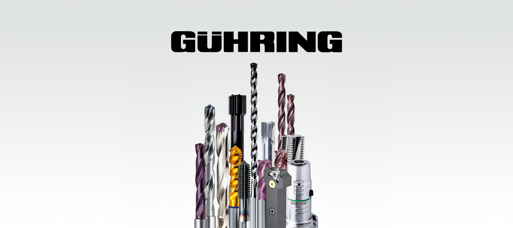 Carrusel-Guhring